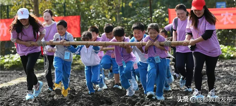 成都又获教育部点赞！这次是为啥？
