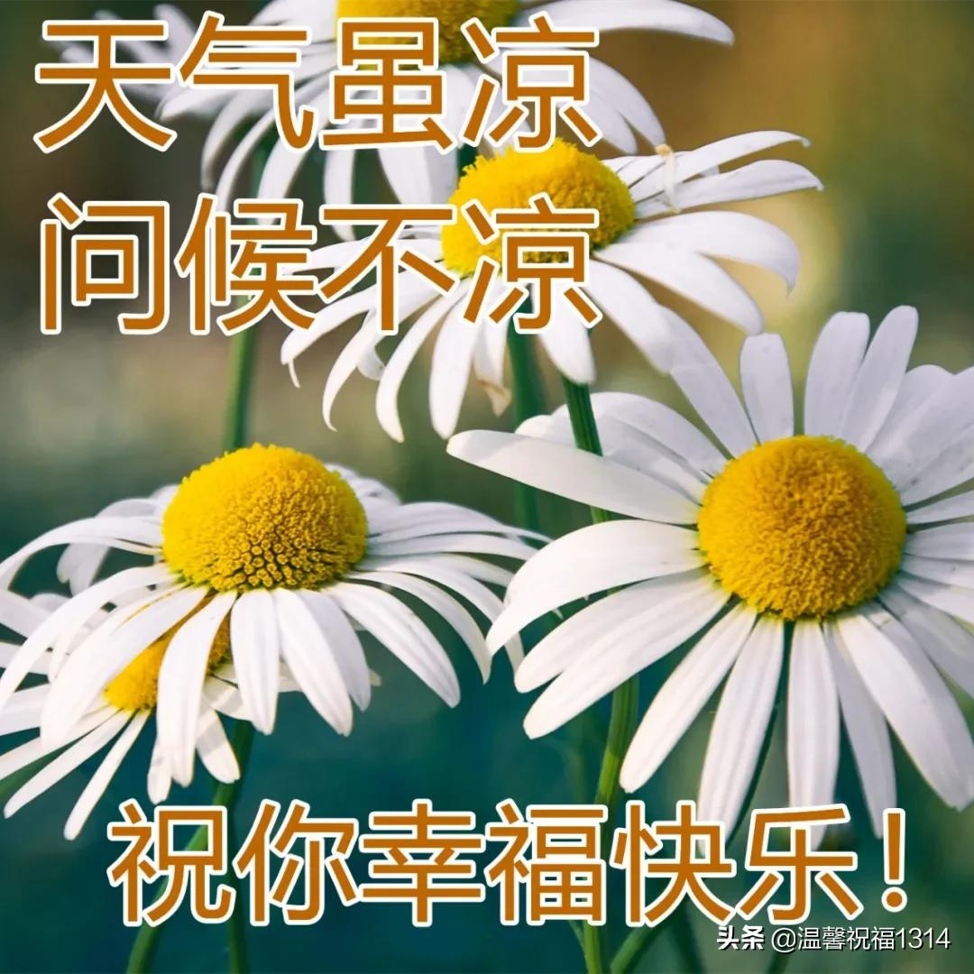 1月30日最美早上好问候图片，腊月廿八早安心语正能量