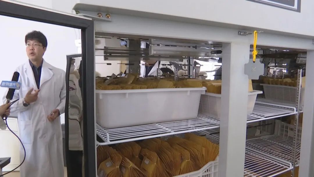 好品山东｜西瓜随便吃，种子得留下！这是啥操作？