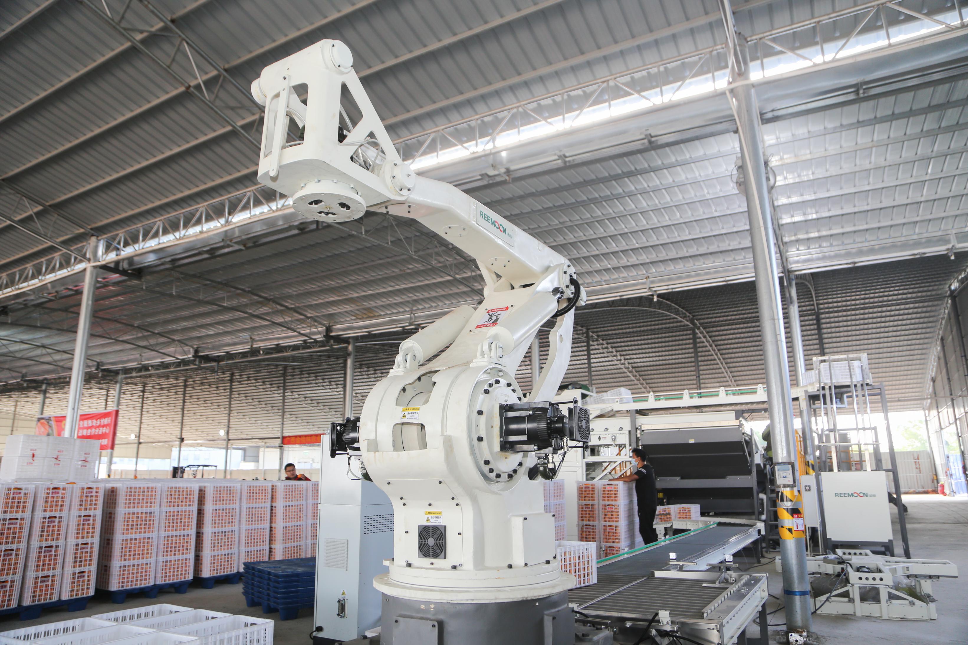 广西金佳林高端柑果自动化分选线落户南宁西乡塘产业园