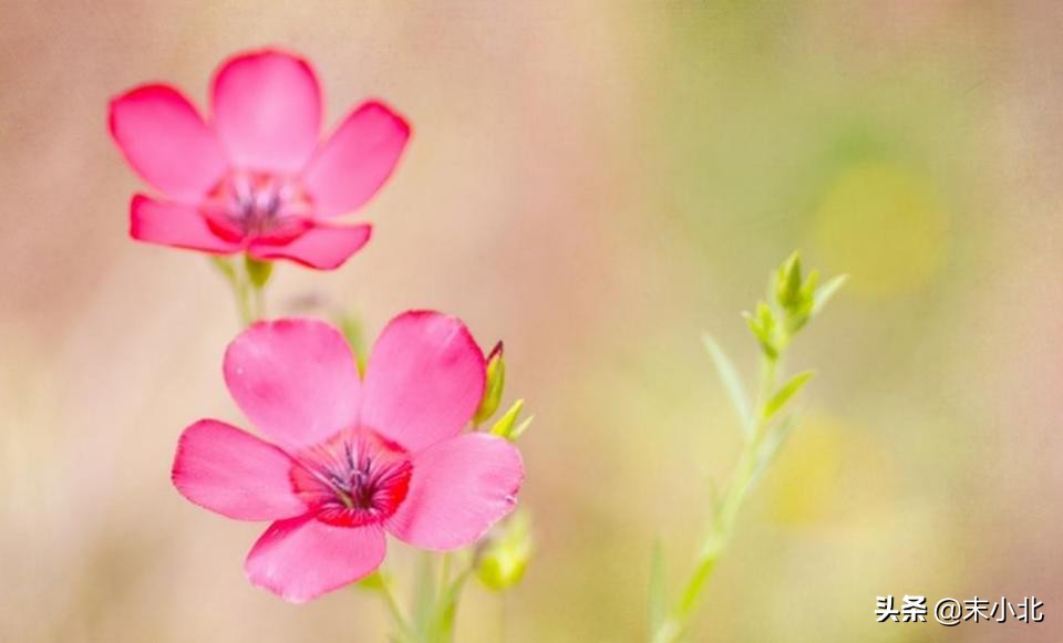 当相爱过的人不再联系时，聪明的女人通常会这样做，希望你也可以