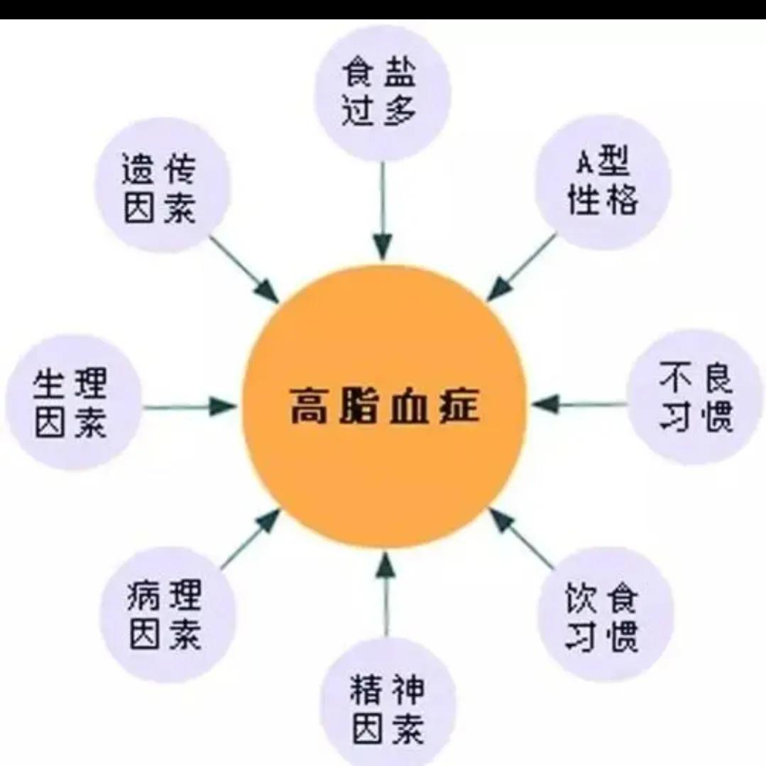 不吃肉，饮食清淡，为什么体检血脂高？这6种情况可引起高血脂
