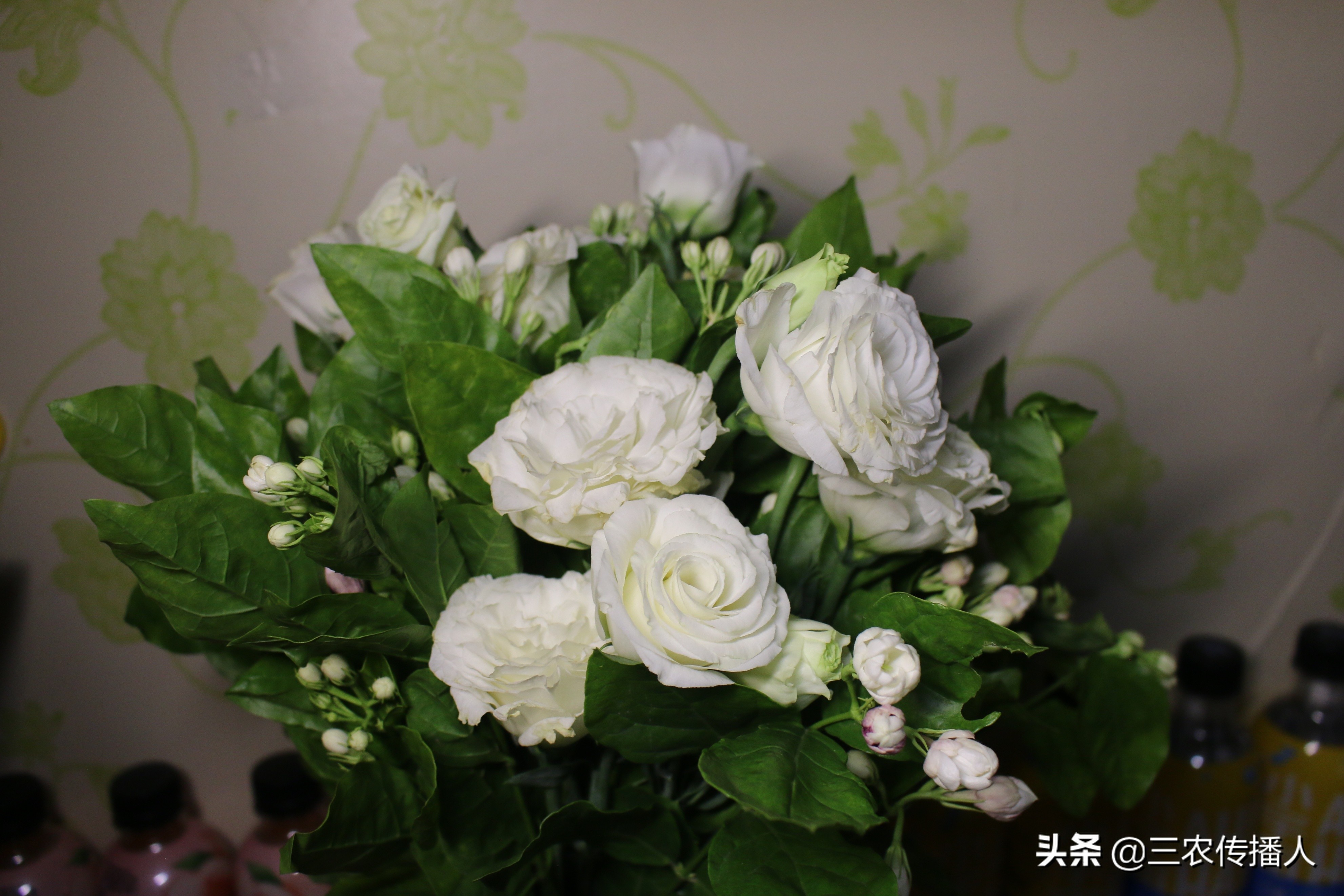 高考将至 | 用照片带你领略中国农业大学~ 是你向往的大学吗？