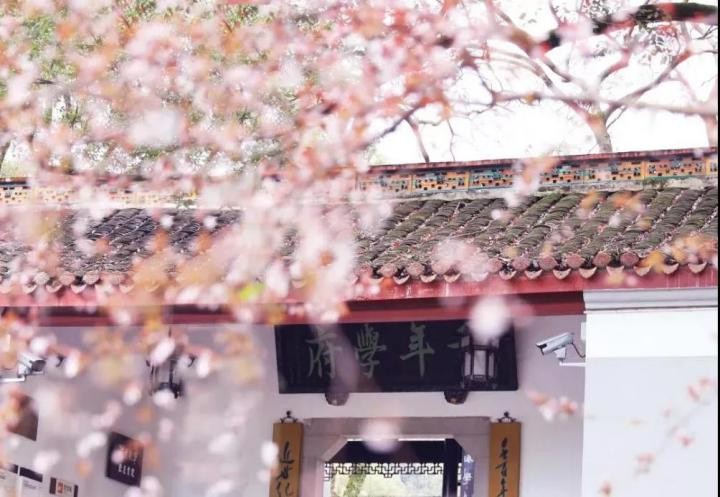 坐拥“国家一流”专业，省级精品课！湖南“宝藏”学院，还走出名企董事长！