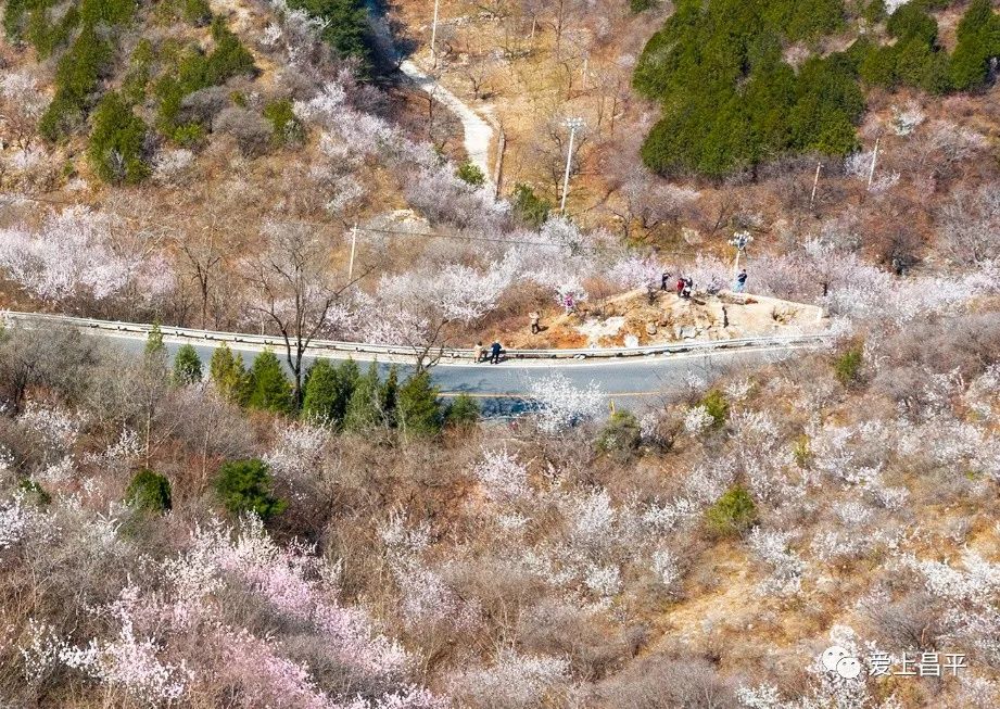 美成仙境的京郊延壽醉美公路，玩賞正當(dāng)時(shí)！