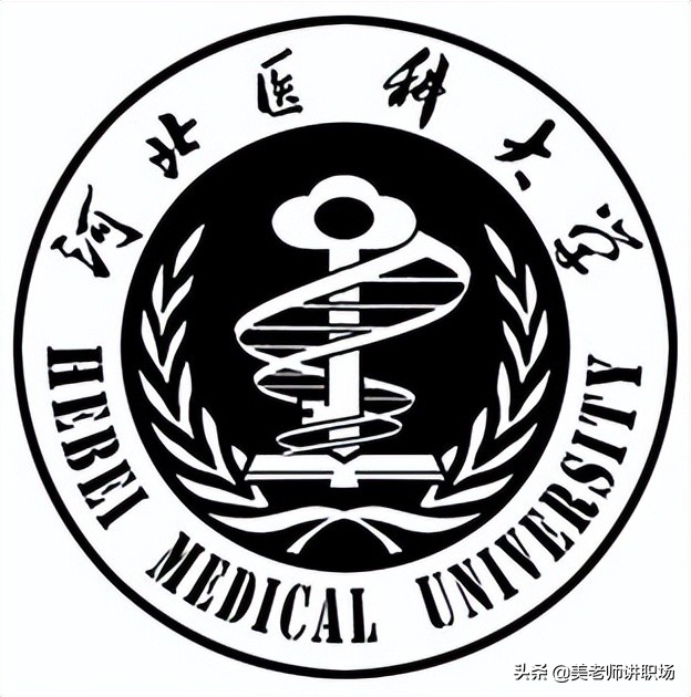 万字点评：全国31省市各排名前五共155所高校