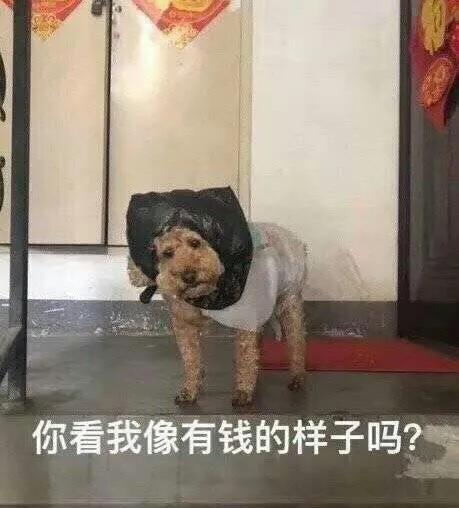 沙雕表情包