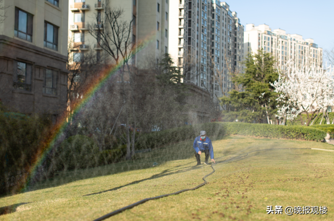 龙湖的这堂园林养护课 让春季来的更早一些