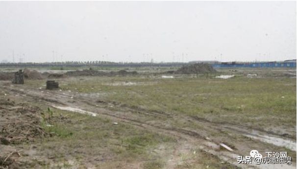 杭州下沙大学城北历史、现状及未来趋势的深度分析