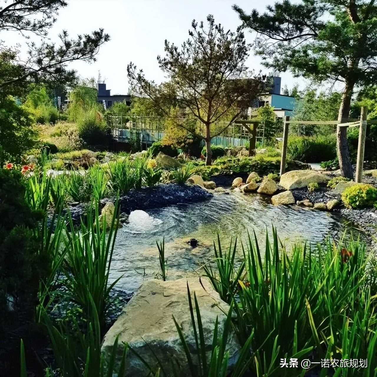 微度假下，這個村莊如何成為旅游度假開發(fā)典范？