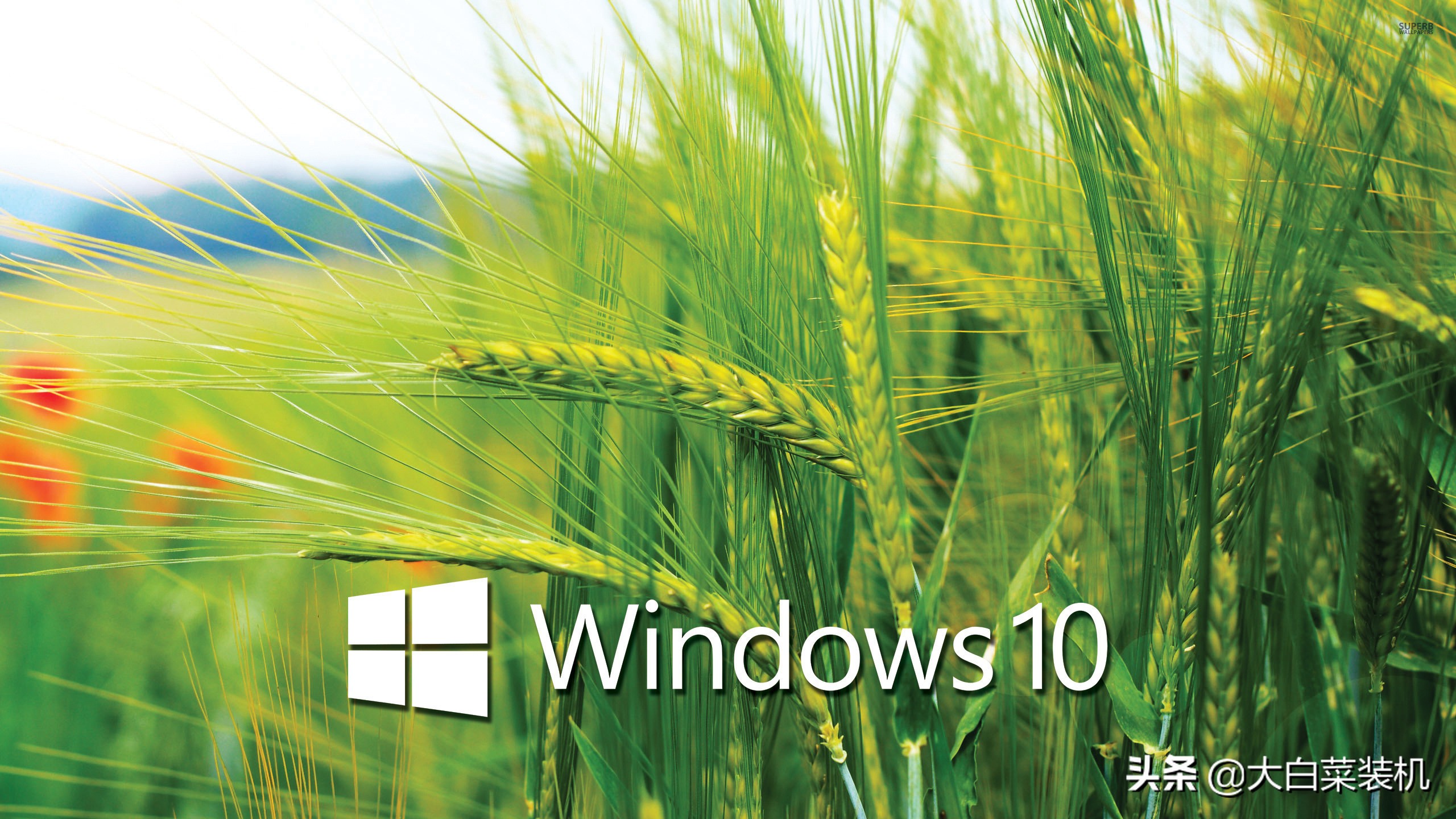安裝win10后，所有電腦請這樣設(shè)置，性能顯著提升