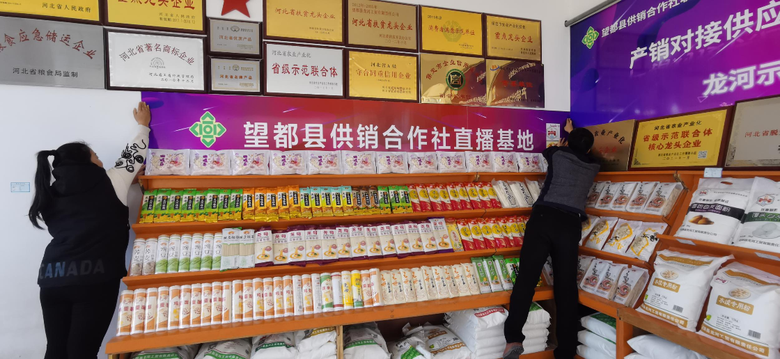 河北望都：产销对接持续培育企业电商技能