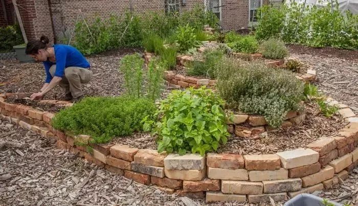 宜家设计的"球形菜园",用于休闲农业策划再适合不过了