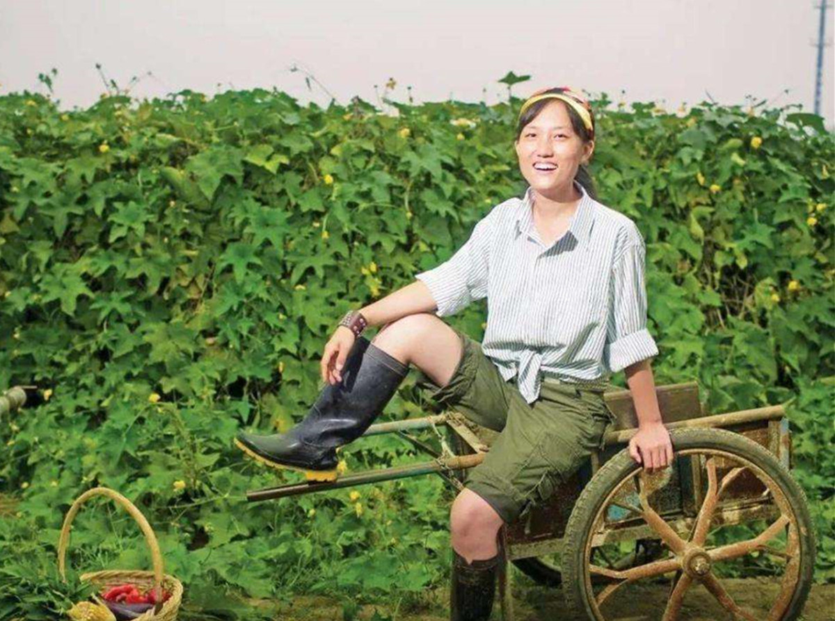 清华女博士石嫣:放弃高薪种地13年,解锁种地新模式,年赚800万