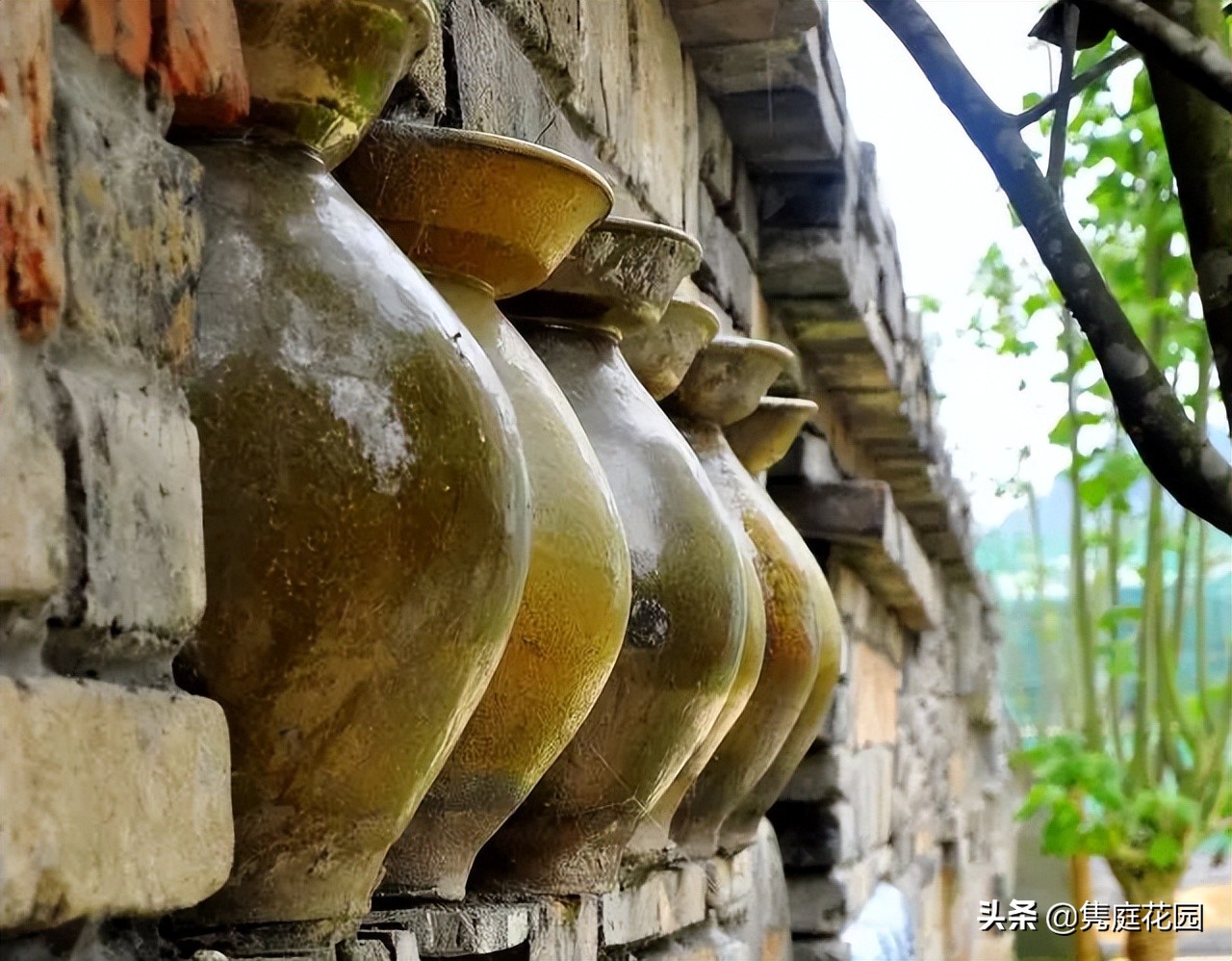 一个小院，花开四季，云淡风轻