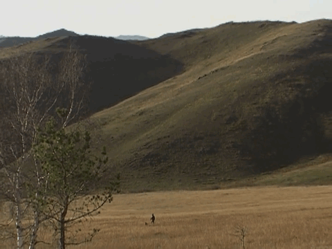 豆瓣9.7分，她的12年人生比《活着》还难，看完哭着打出5星