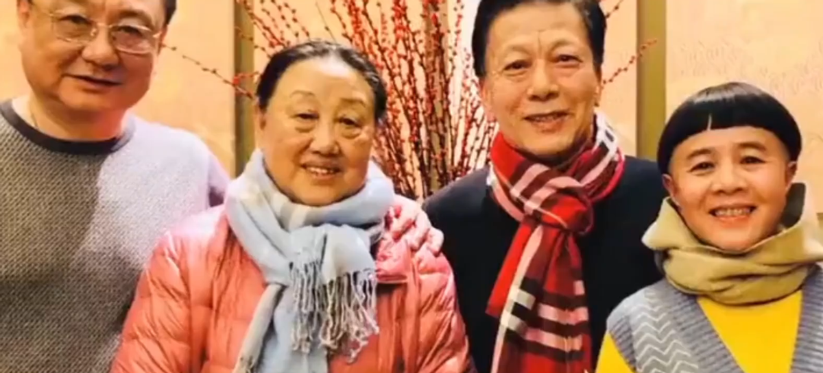 金龟子刘纯燕，嫁给央视主持人王宁，长跑33年却遭嫌弃？