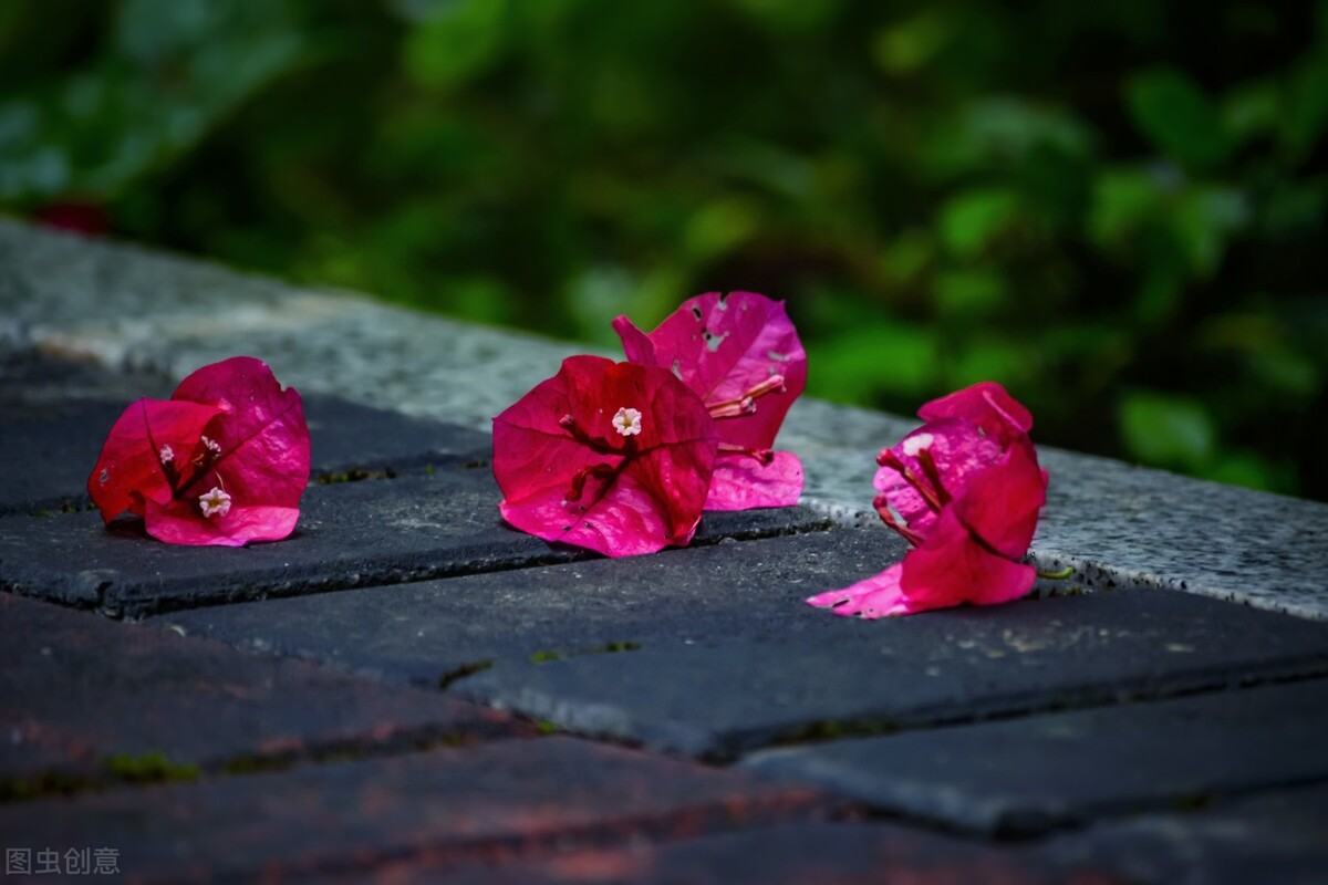 世间自有轮回，凡事都有因果。有一种遇见，不在路上，而在心上