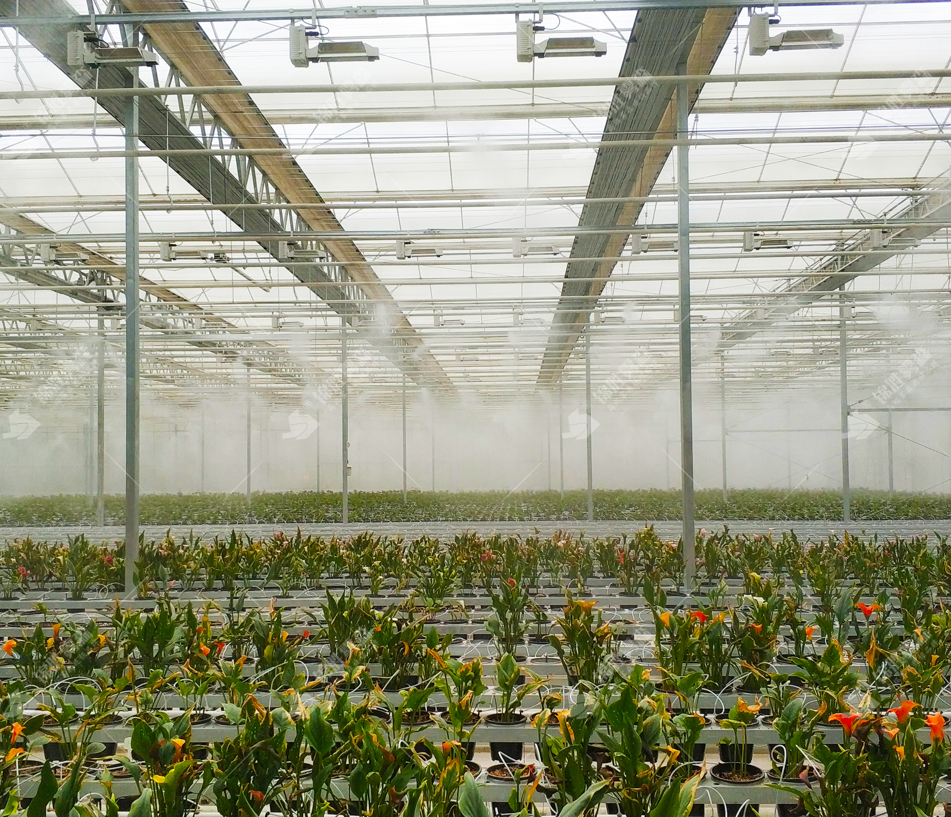 ���Ҵ����ǻ�ˮ����ʪ���£�ע�ܡ�������ˡ����衪����ʤ��ɭ