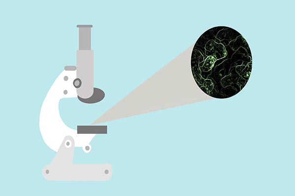 不管是猪肉还是什么肉，放在冰箱超过3个月，宁愿扔掉也别吃？