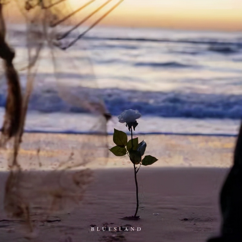 文案｜那就换个浪漫点的个签