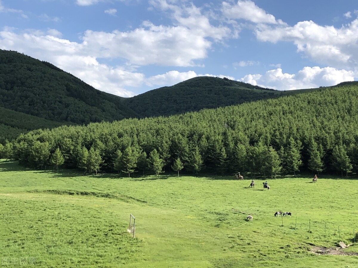 夏天去河北玩什么？这10个地方一定不要错过