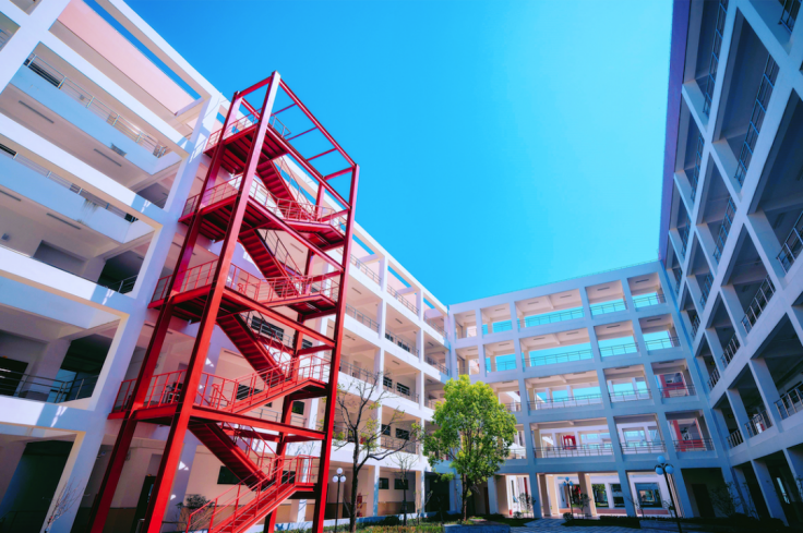 实现世界首个，填补国内空白！上海双一流产出多项重磅成果，获央视新闻关注