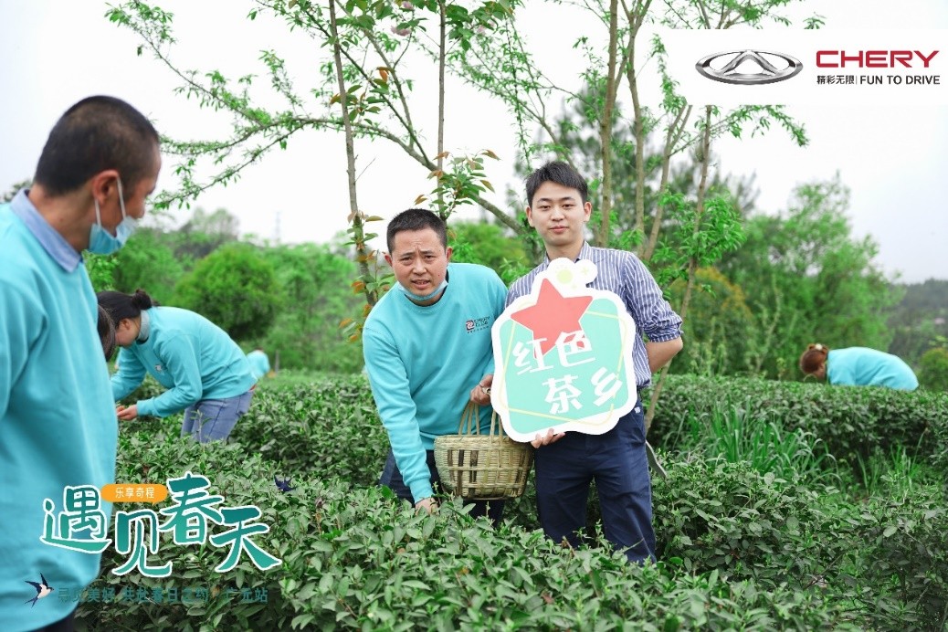 乐享奇程 | 花艺美学季，在田野花间，享受美好旅途