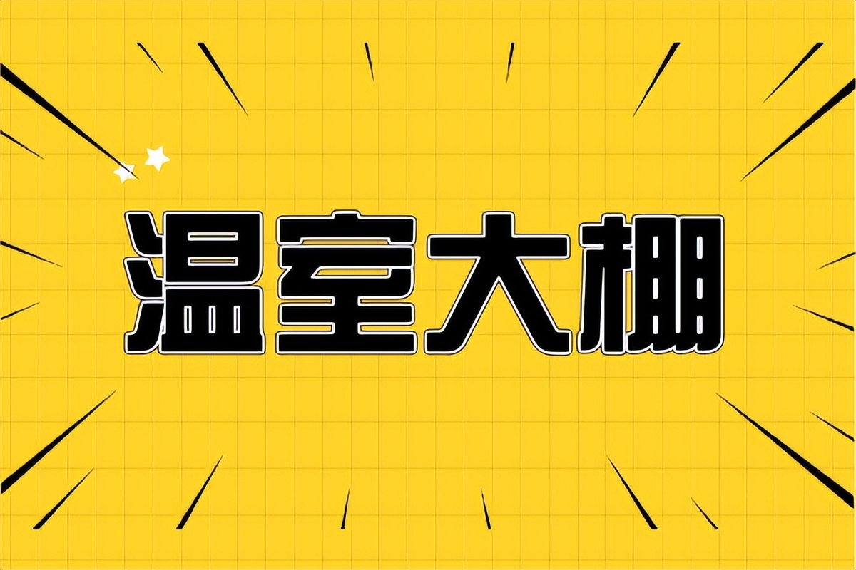 “指尖科技，让梦想照进现实”——智能温室大棚