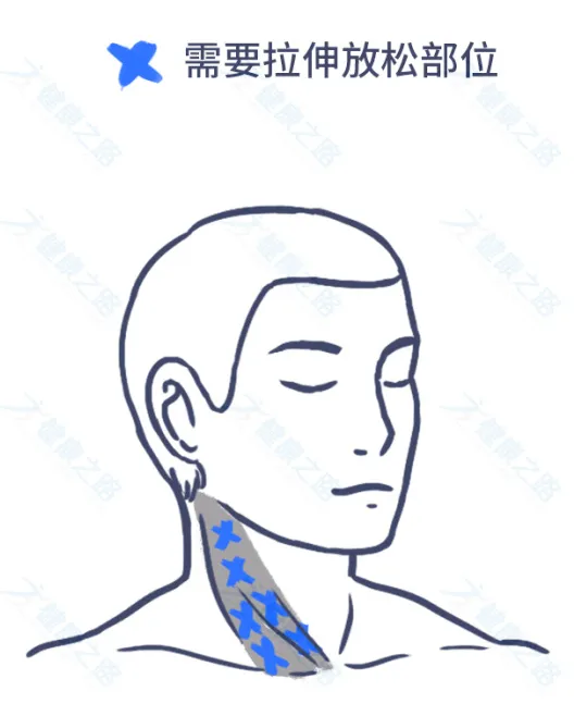 1个马上缓解头痛的方法,简单有效,还能预防颈椎病