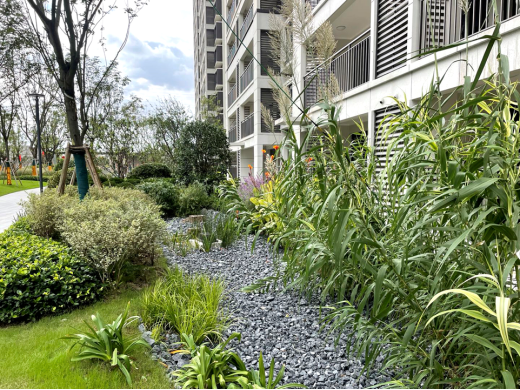 世界水日｜江苏旭辉社区海绵实践分享