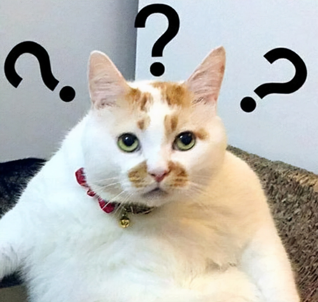 考研初试，如何让自己不紧张？过来人的经验来了
