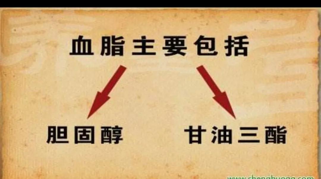 不吃肉，饮食清淡，为什么体检血脂高？这6种情况可引起高血脂