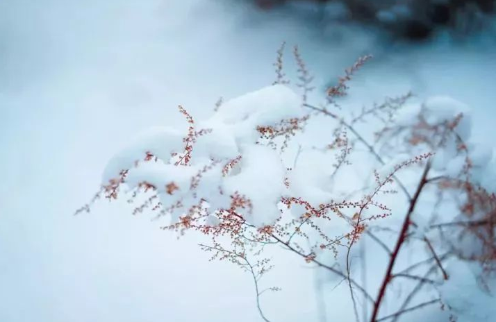 「原创诗词」管恩锋 | 若无瑞雪催春发 哪有千花焕彩颜（咏雪20首）