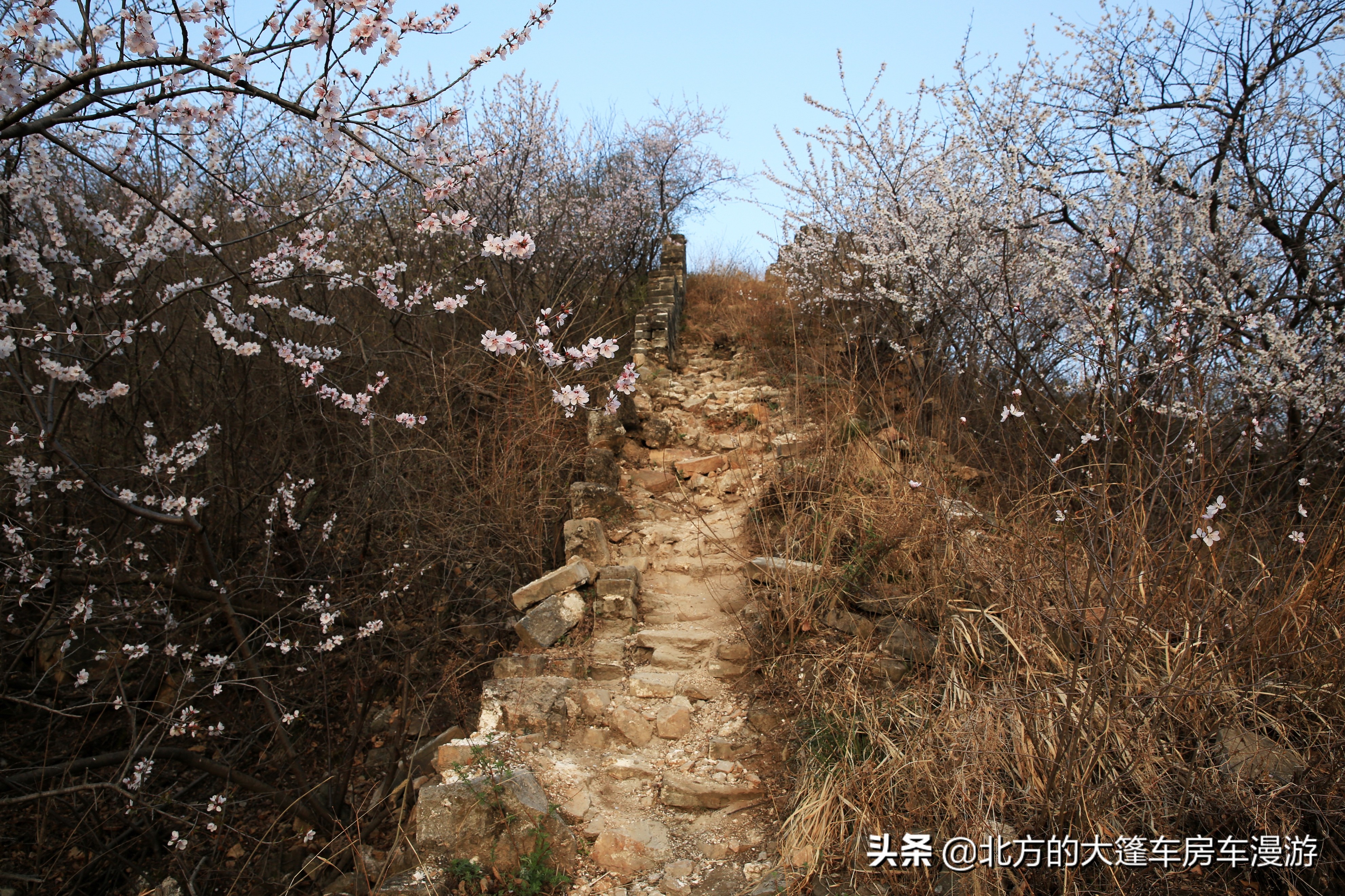 走过北京春天最美的盘山公路去那山桃花盛开的地方——龙泉峪长城