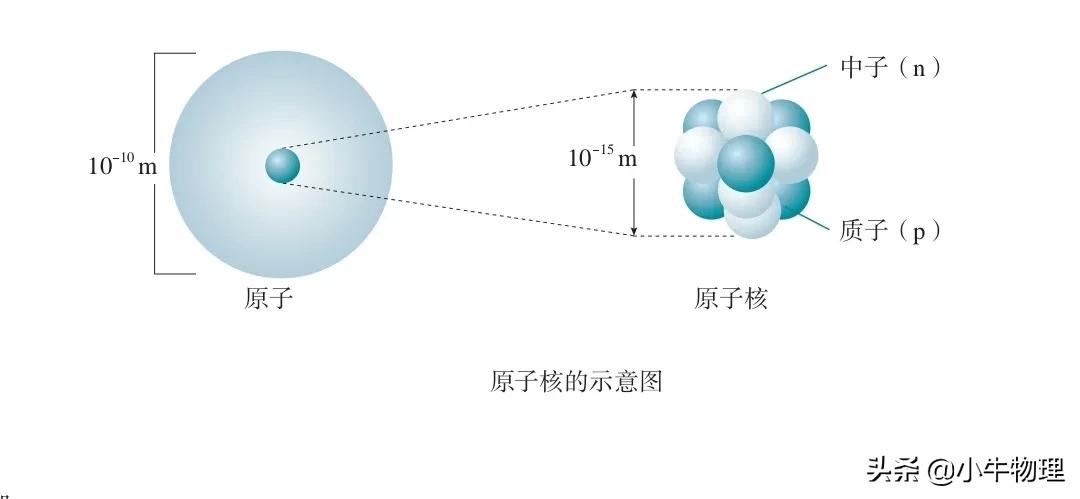 原子核由什么组成（知识科普原子核的组成元素）