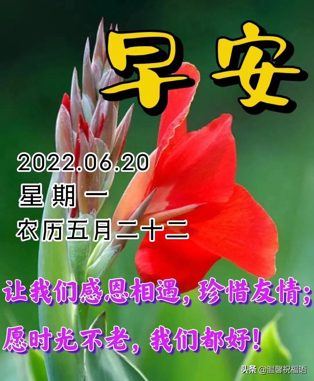 6月20日今生有緣,來自天意,一句問候,發自心底.早上好