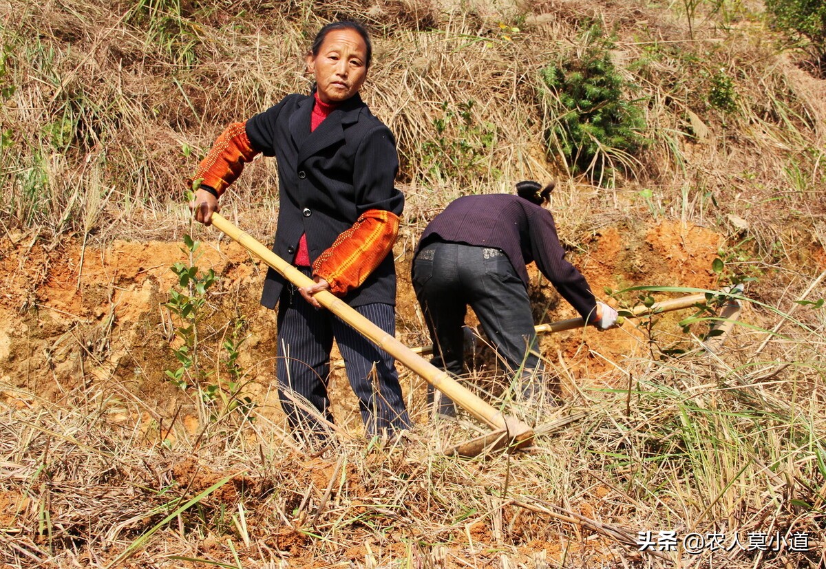 農(nóng)村里面現(xiàn)在購買農(nóng)機(jī)有補(bǔ)貼，為什么農(nóng)民卻不愿意購買了呢？
