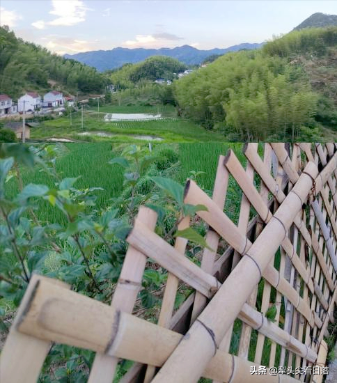 乡居 | 一起来一场远离尘市的乡野生活体验吧......