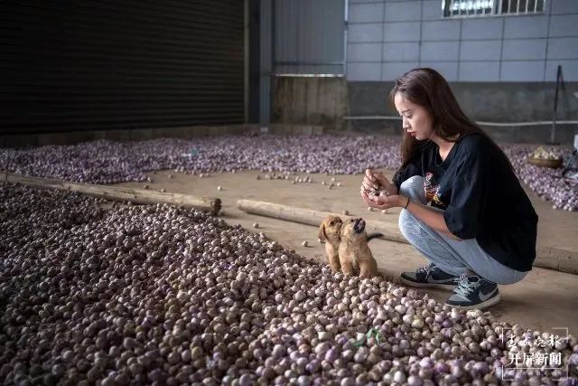 春风十里不如“她”