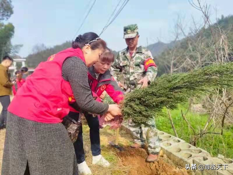 泥江口鎮志愿者厚“植”大愛精神·敬革命英雄