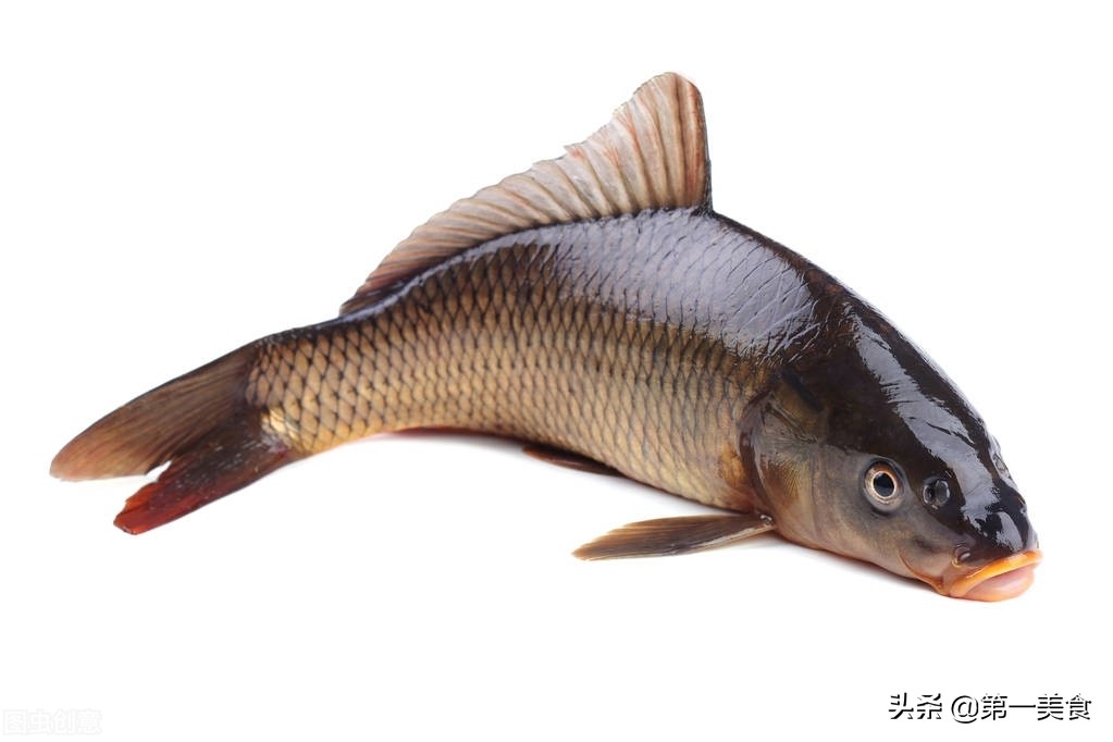 图片[10]-立春过后 最适合吃的5种淡水鱼 正是肥美好时候 爱吃鱼别放过-起舞食谱网