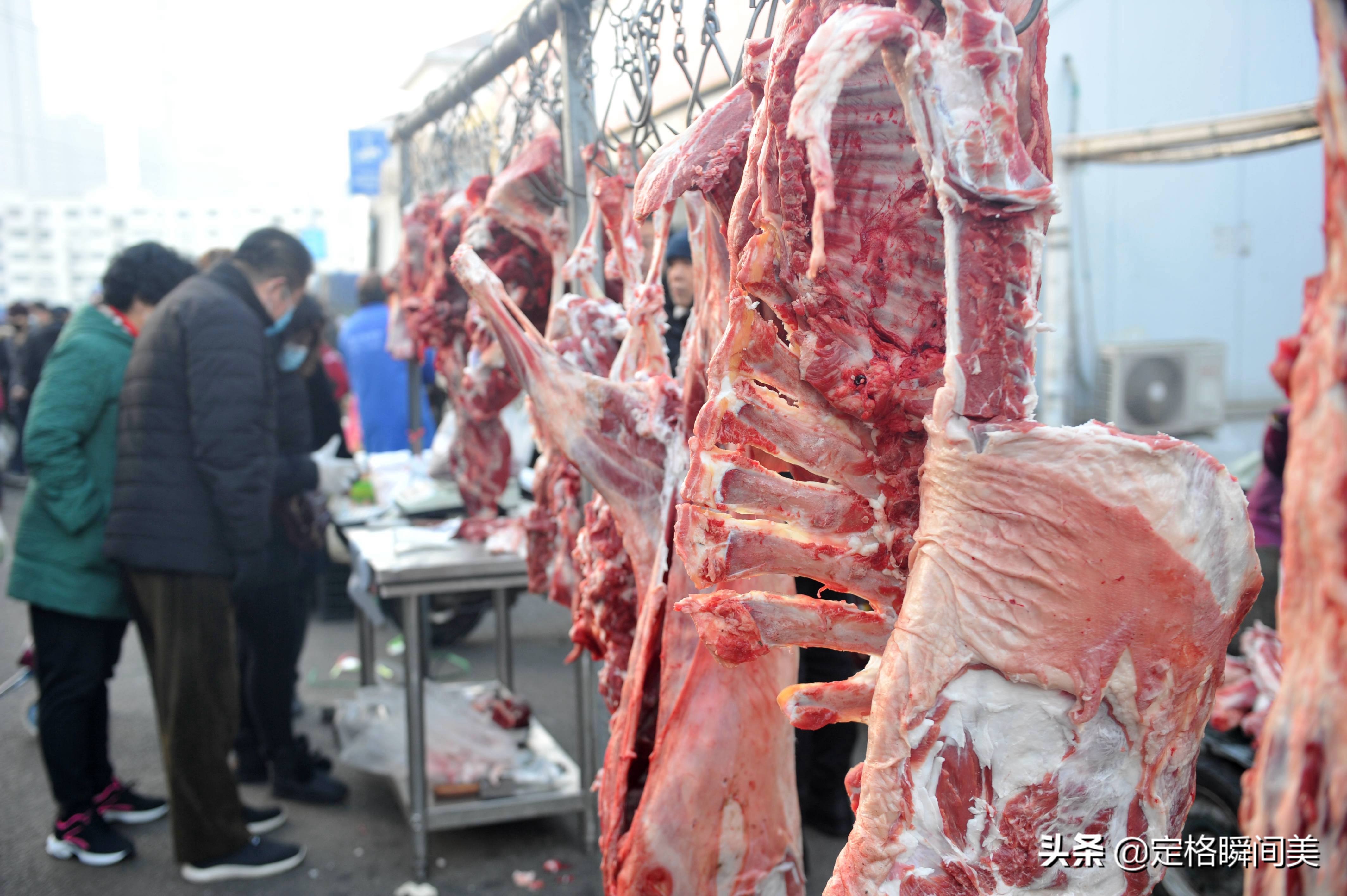 鯧魚多少錢一斤,鯧魚多少錢一斤市場價2022