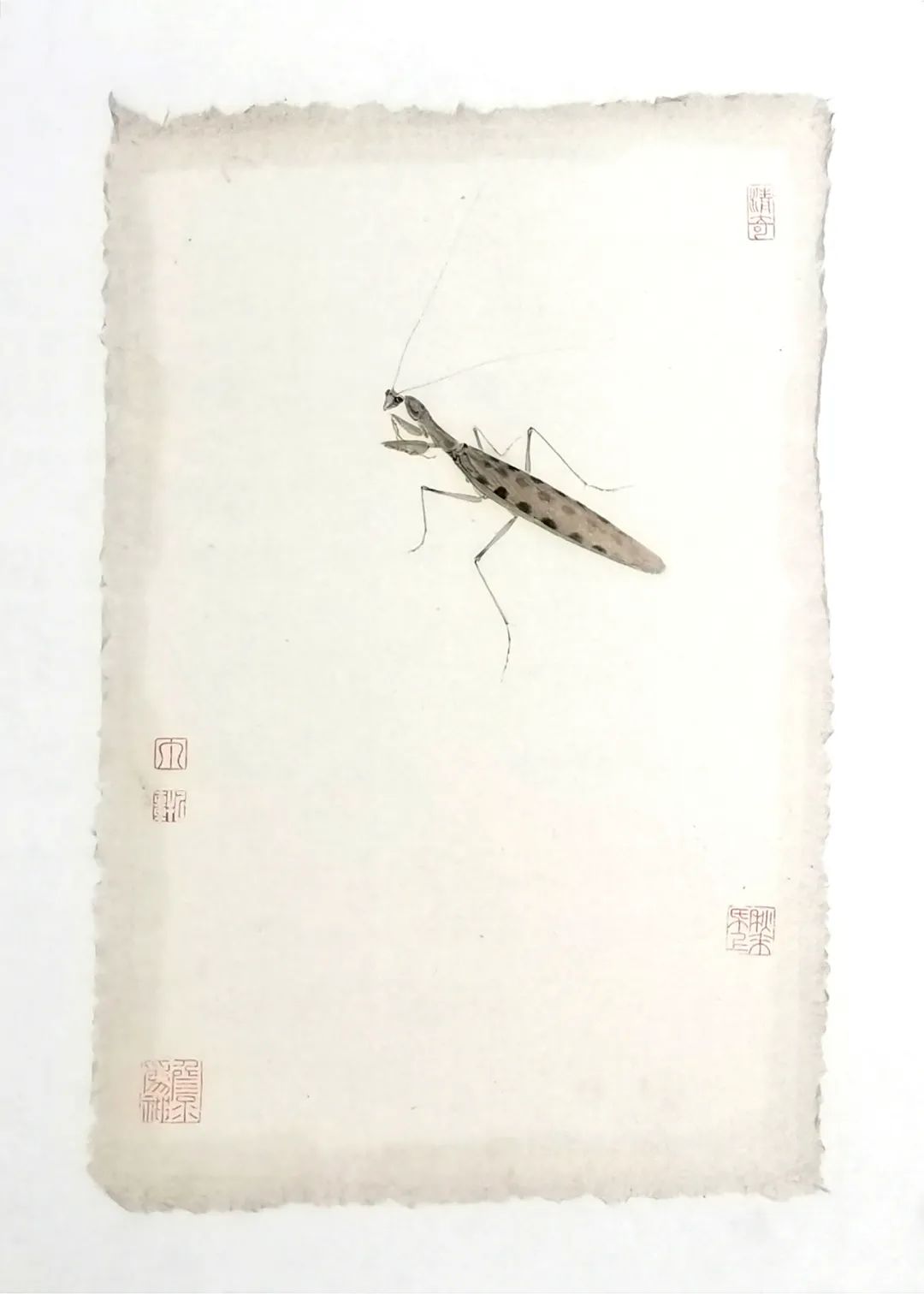 款款翩翩，不疑春深画中