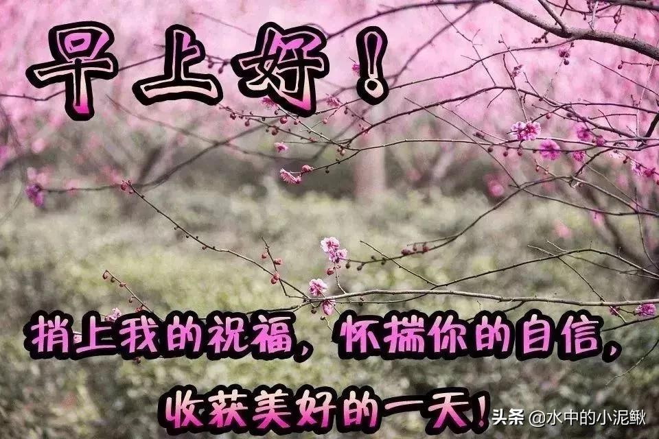 早上起床最新励志早安语录，早安心语朋友圈励志短句子