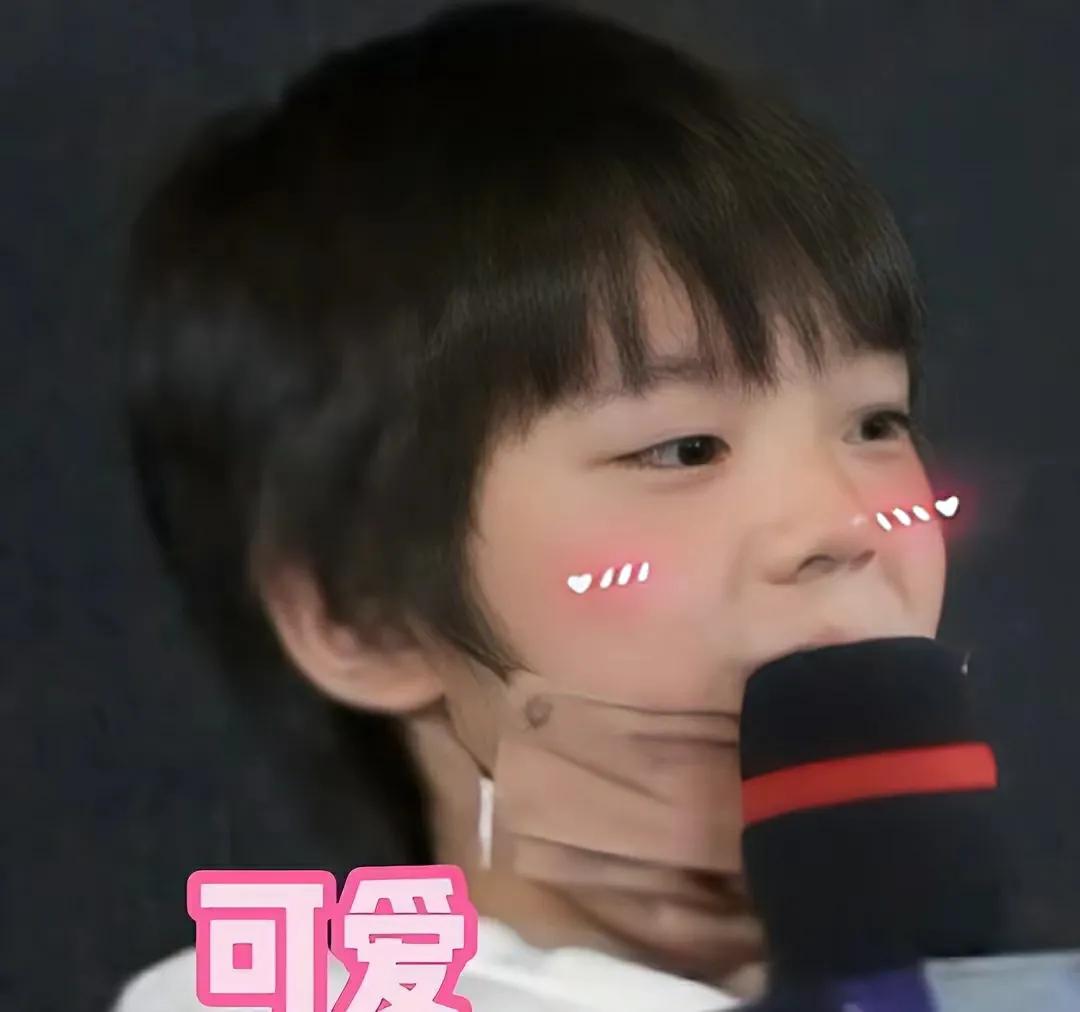 梅婷的美，佟丽娅的大气，霍思燕的温柔，是无数人的幻想吧