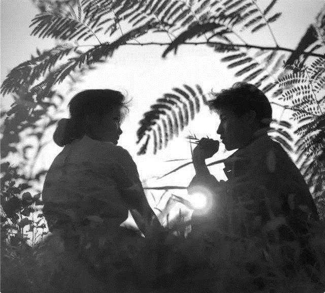 70年代女巨贪：包养7个男人，挥霍上千万公款，最后栽在情人手中