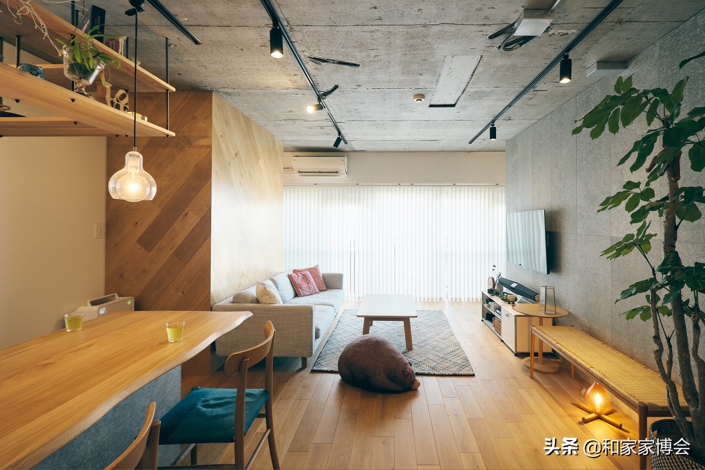 50㎡小户型公寓翻新案例 空间利用太服气了