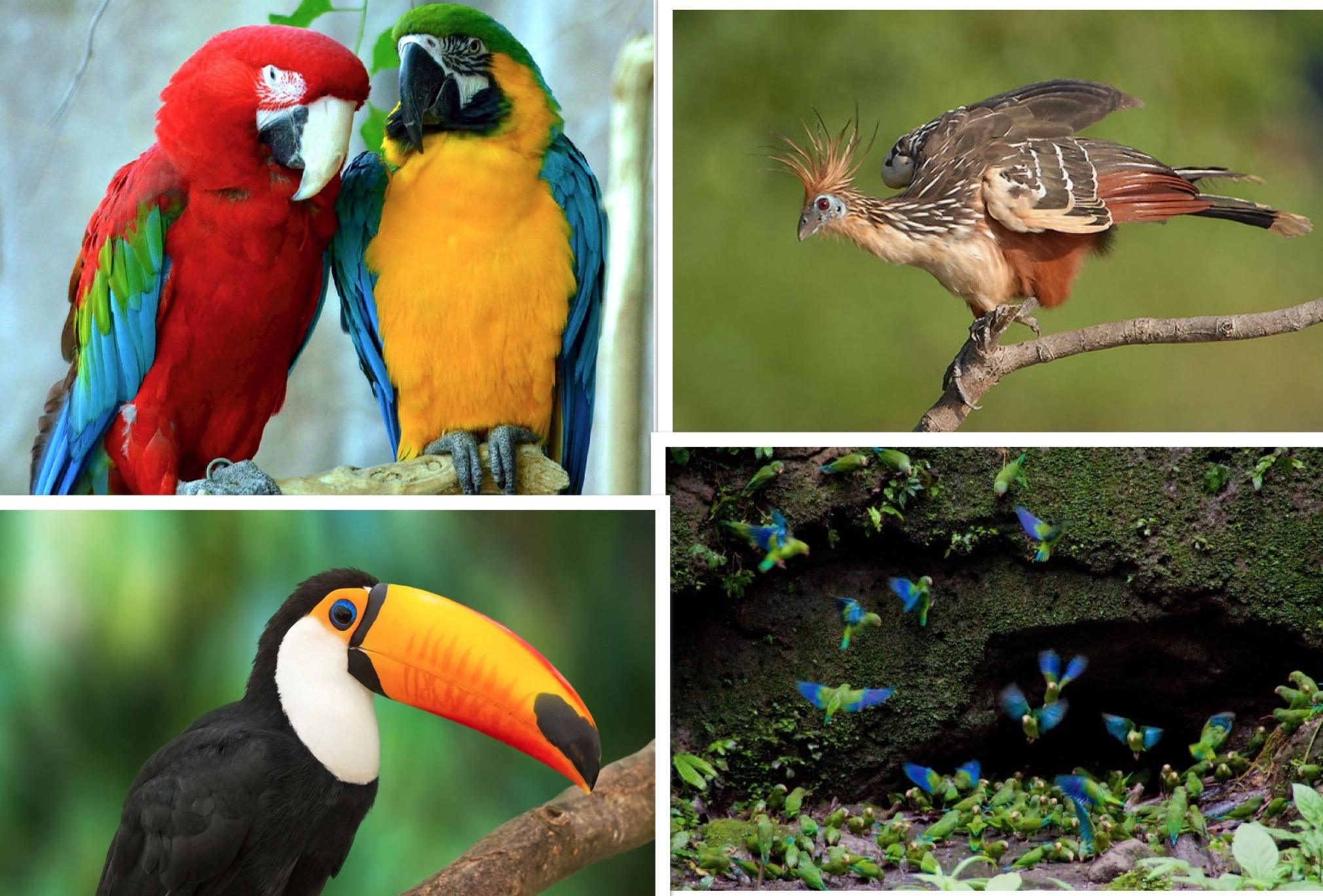 йֲ̻ˮԴȱѧңȿһѷ