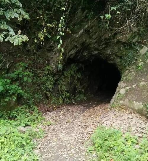 小伙山洞发现血色河流，吓得屁滚尿流，这血色到底是怎么回事？